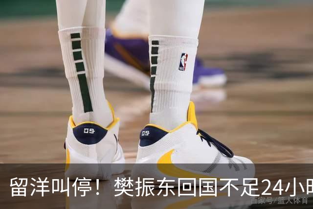 留洋叫停！樊振东回国不足24小时，官宣新身份，总算盼来这一天